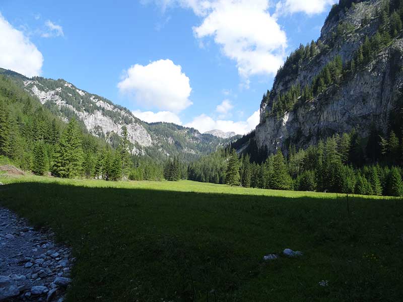 Buchbergkogel